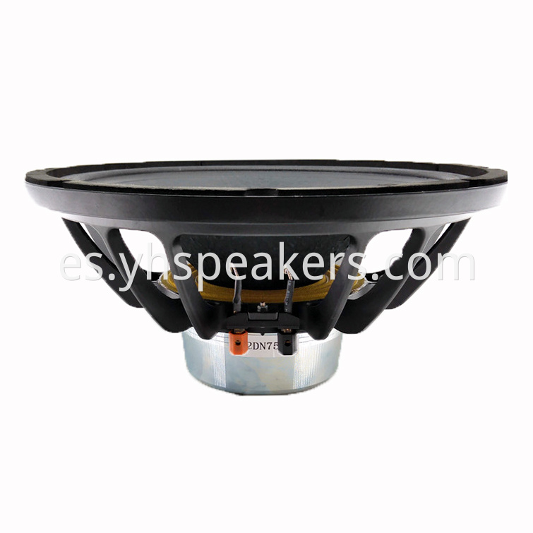 Neodymium 12 inch Professional Woofer Audio Speaker